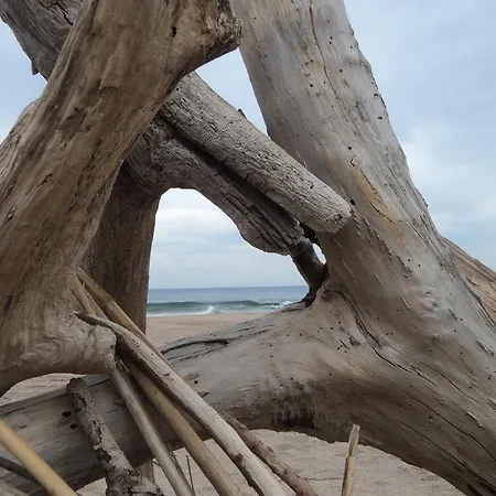 호텔 Caleta 료렛 드 마르