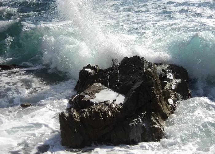 Caleta *
